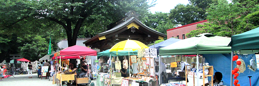 出雲大社相模分祠 菊花展