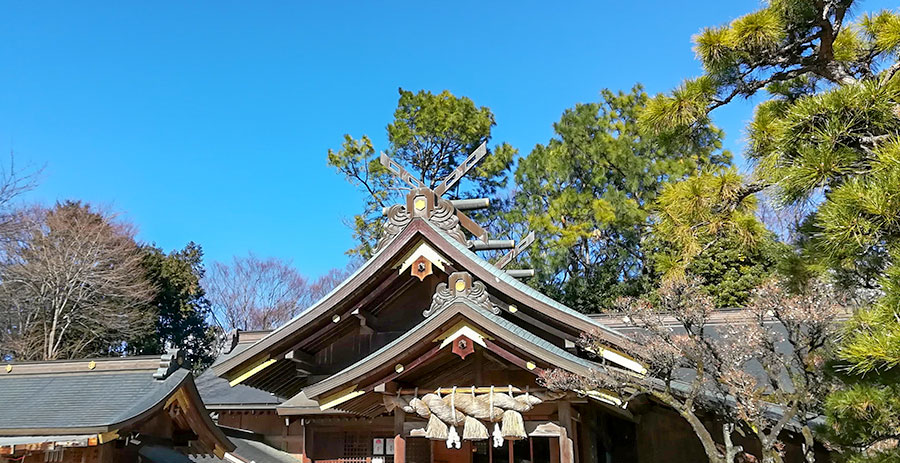 関東の出雲さん、出雲大社相模分祠・社報むすひ